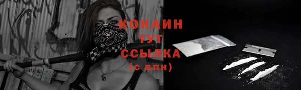 винт Липки