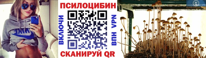 Галлюциногенные грибы мицелий  Полтавская 